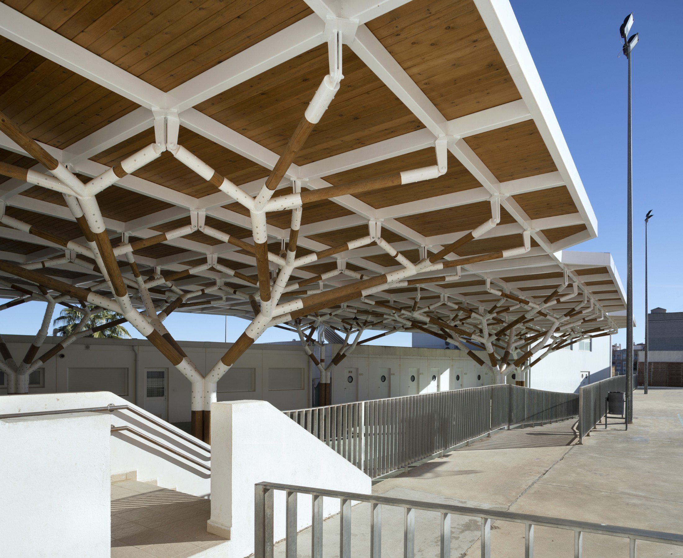 La Pea Schoolyard Canopy